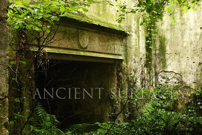 Another Architectural gem nestled between overgrown shrubs in Europe